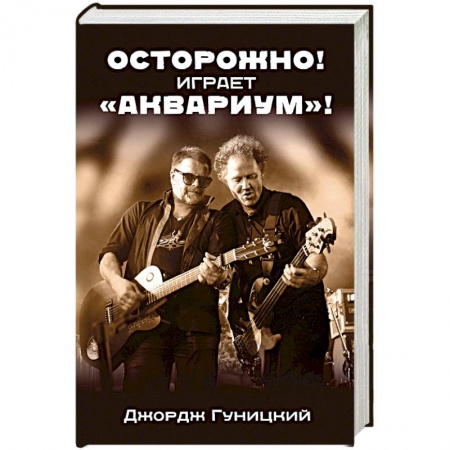Книги, книга Лучшее из творчества и о творчестве группы 'Аквариум' и Бориса Гребенщикова (комплект из 2 книг) заказать