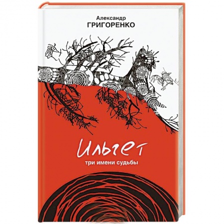 Книги, книга Ильгет заказать