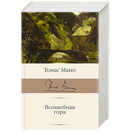 Зарубежная классика, книга Волшебная гора заказать