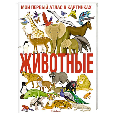 Животный и растительный мир, книга Животные. Мой первый атлас в картинках заказать