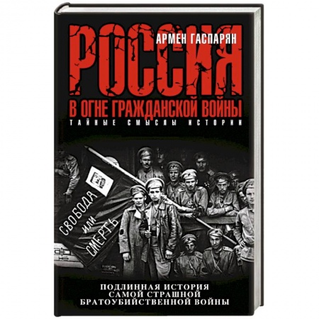 Книги, книга Россия в огне Гражданской войны. Подлинная история самой страшной братоубийственной войны заказать