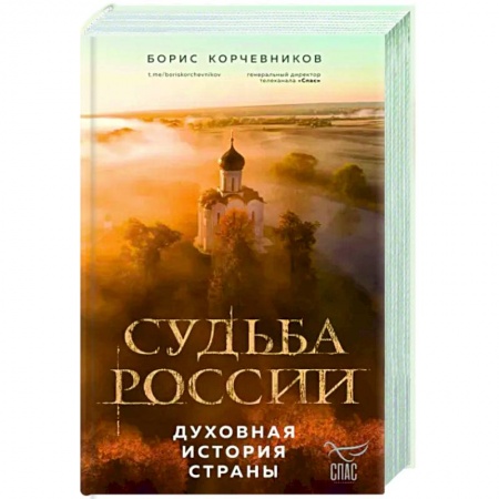 Православие в целом, книга Судьба России. Духовная история страны заказать
