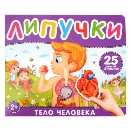 Этикет. Внешность.Гигиена. Личная безопасность, книга Тело человека. Книга с липучками заказать