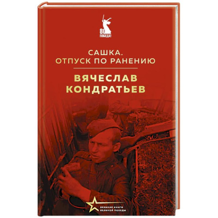 Эссе, письма, очерки, книга Сашка. Отпуск по ранению заказать
