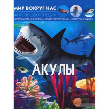 Животный и растительный мир, книга Мир вокруг нас. Акулы. Фотоэнциклопедия заказать