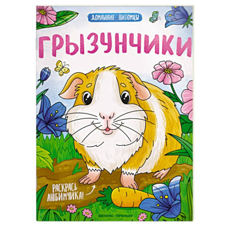 Животные. Птицы. Растения, книга Грызунчики. Книжка-раскраска заказать