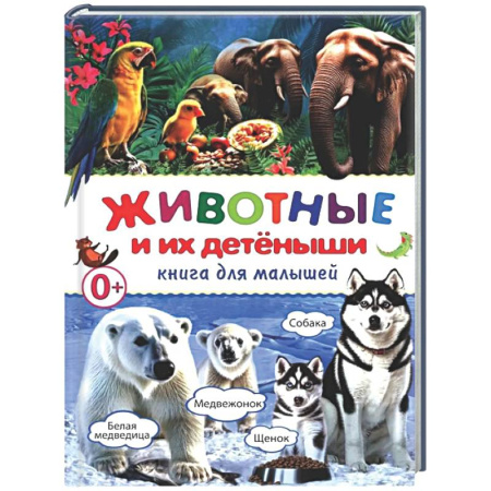 Животный и растительный мир, книга Животные и их детеныши. Книга для малышей заказать