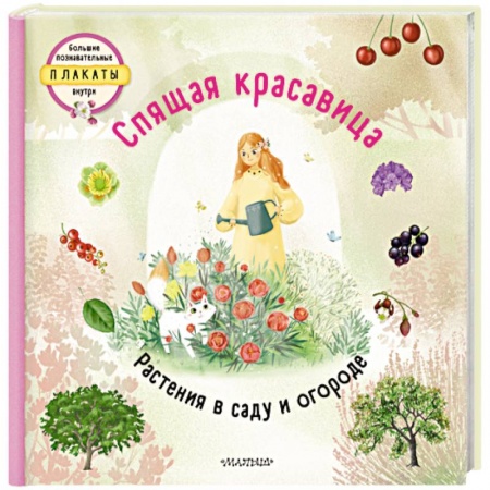 Сказки и истории для малышей, книга Спящая красавица заказать