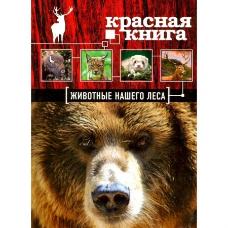 Животный и растительный мир, книга Красная книга. Животные нашего леса заказать