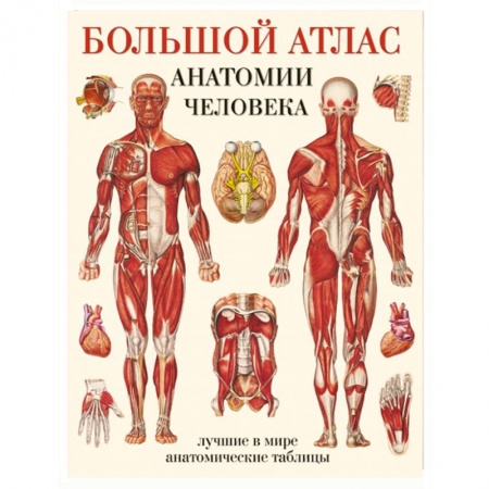 Книги, книга Большой атлас анатомии человека заказать