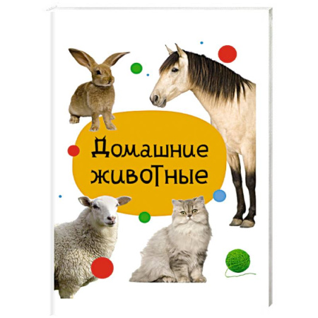 Животный и растительный мир, книга Домашние животные заказать