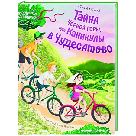 Приключения. Детективы, книга Тайна Черной горы, или Каникулы в Чудесатово заказать