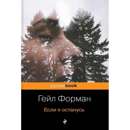 Зарубежная классика, книга Если я останусь заказать