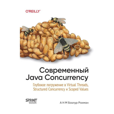 Компьютерная литература, книга Современный Java Concurrency. Глубокое погружение в Virtual Threads, Structured Concurrency и Scoped Values заказать