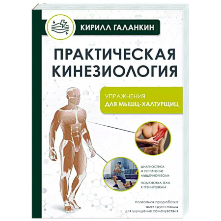 Авторские методики, книга Практическая кинезиология. Упражнения для мышц-халтурщиц заказать
