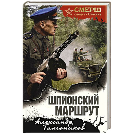 Боевики, военные, книга Шпионский маршрут заказать