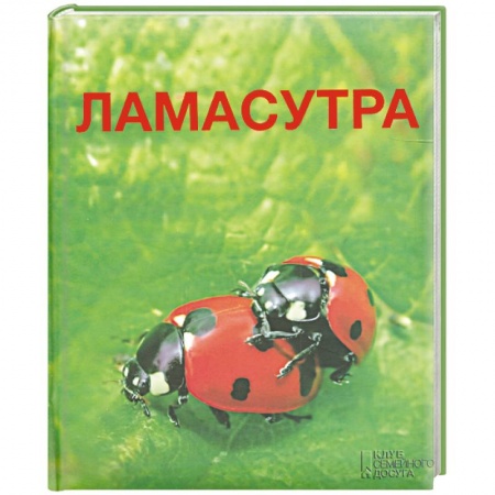 Книги, книга Ламасутра заказать