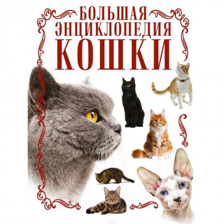 Кошки, книга Кошки. Большая энциклопедия заказать