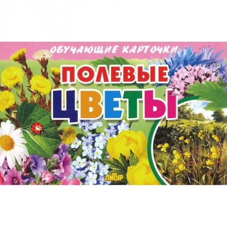 Познавательная литература, книга Карточки. Полевые цветы  заказать