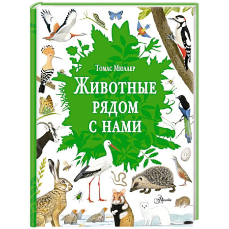 Животный и растительный мир, книга Животные рядом с нами заказать