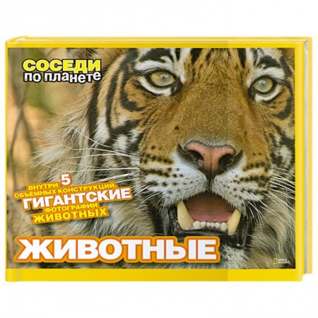 Книги, книга Животные. Внутри 5 объемных конструкций. Гигантские фотографии животных. заказать