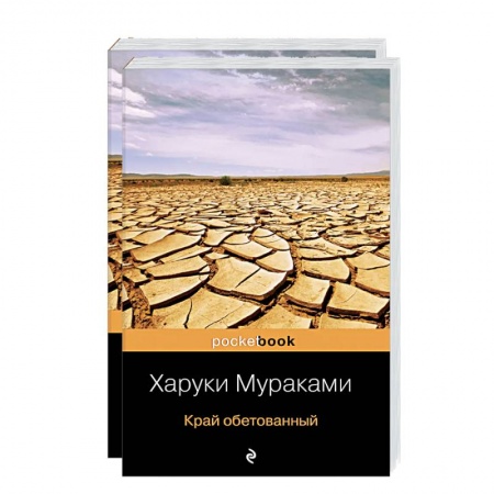Зарубежная современная проза, книга Подземка. Край обетованный (комплект из 2 книг) заказать