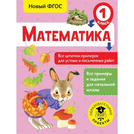 Образовательные системы. 1-4 классы, книга Математика. Все цепочки примеров для устных и письменных работ. 1 класс заказать