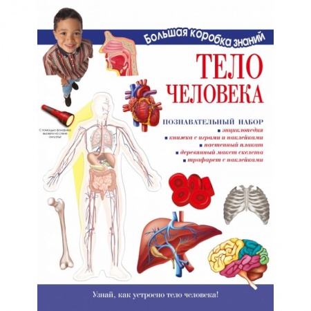 Познавательная литература, книга Тело человека. Познавательный набор заказать