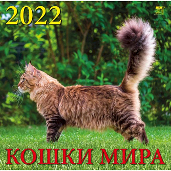 Календарь на 2022 год 'Кошки мира' Календарь на 2022 год 'Кошки мира'