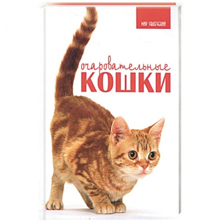 Книги, книга Очаровательные кошки заказать