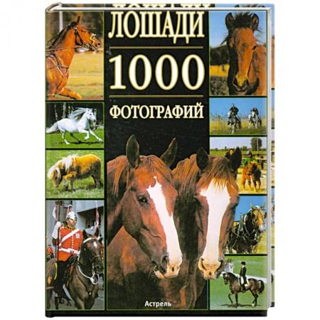 Книги, книга Лошади. 1000 фотографий заказать