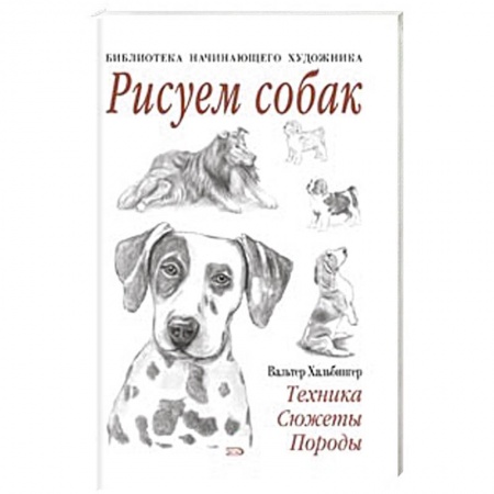 Книги, книга Рисуем собак заказать