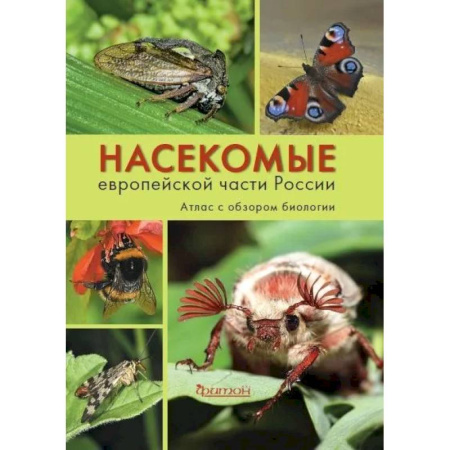 Зоология, книга Насекомые европейской части России. Атлас с обзором биологии заказать