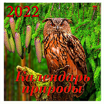 Календарь на 2022 год 'Календарь природы' (70208) Календарь на 2022 год 'Календарь природы' (70208)