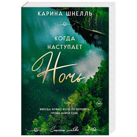 Зарубежная современная проза, книга Когда наступает ночь заказать