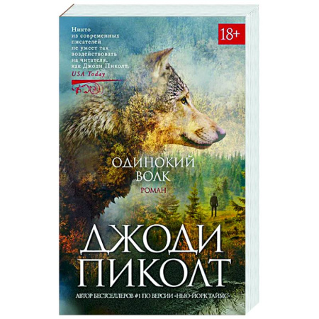 Зарубежная современная проза, книга Одинокий волк заказать