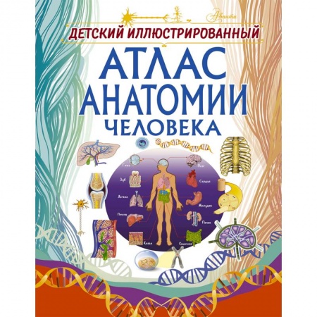 Все обо всем. Универсальные энциклопедии, книга Детский иллюстрированный атлас анатомии человека заказать