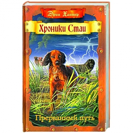 Мистика. Фантастика. Фэнтези, книга Прерванный путь заказать