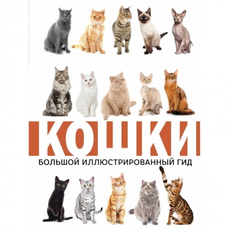 Кошки, книга Кошки заказать