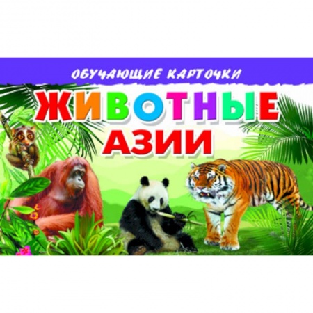 Книги, книга Карточки. Животные Азии заказать
