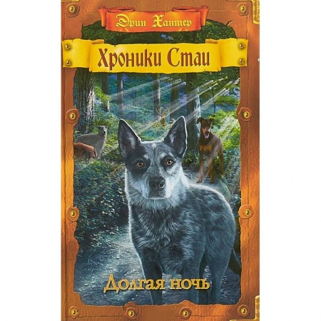 Мистика. Фантастика. Фэнтези, книга Долгая ночь заказать