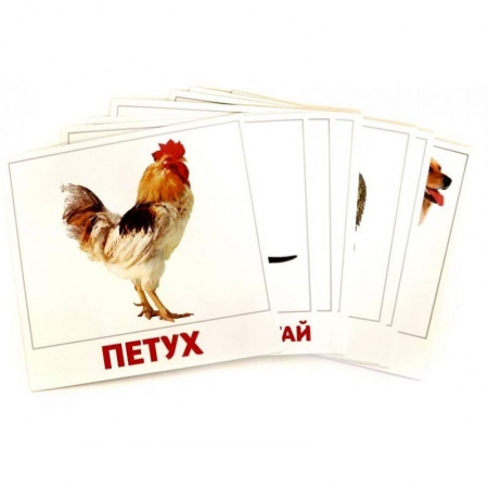 Знакомство с миром, развитие малыша, книга Домашние животные заказать