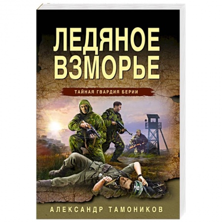 Боевики, военные, книга Ледяное взморье заказать