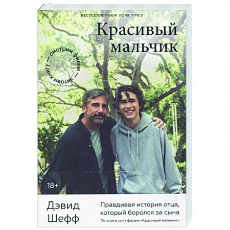 История, биография, мемуары, книга Красивый мальчик. Правдивая история отца, который боролся за сына заказать