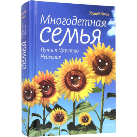 Православная семья. Педагогика. Детям, книга Многодетная семья. Путь в Царствие Небесное заказать