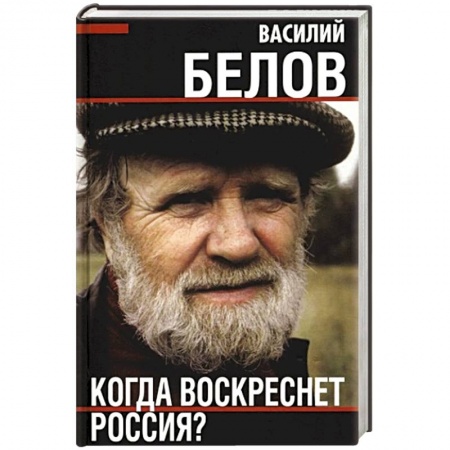 Общество, книга Когда воскреснет Россия? заказать