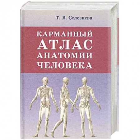Книги, книга Карманный атлас анатомии человека заказать