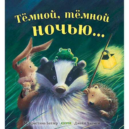 Сказки зарубежных писателей, книга Темной, темной ночью заказать