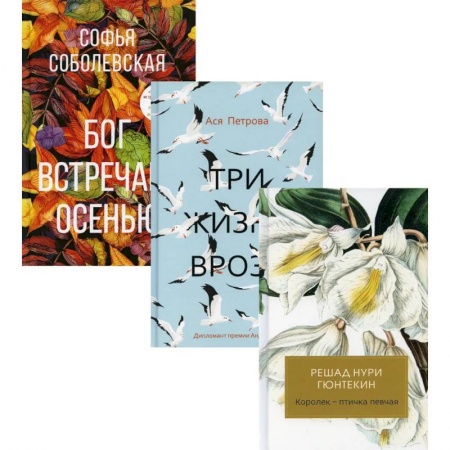 Русская современная проза, книга Женская проза заказать