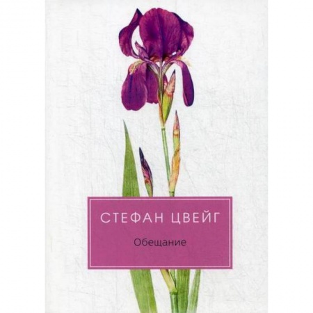 Зарубежная современная проза, книга Обещание заказать